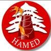 Said Hamed