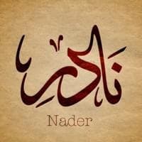 Nadir Niazi