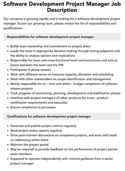 IT Project Manager SD, photo 1