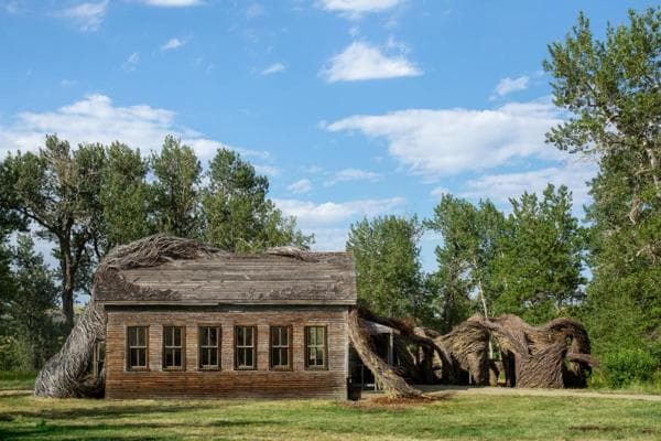 Patrick Dougherty, photo 1