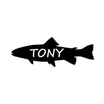 Tony  Fish, photo 1