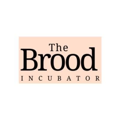 The brood Incubator, photo 2