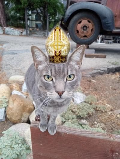 Cat Pope, photo 1