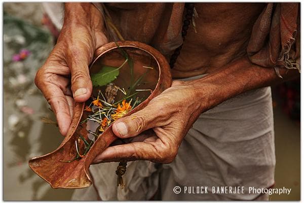 Pulock Banerjee, photo 2