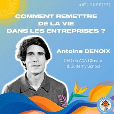 Antoine Denoix, photo 1