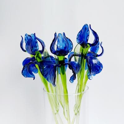 Iris Rosin, photo 2