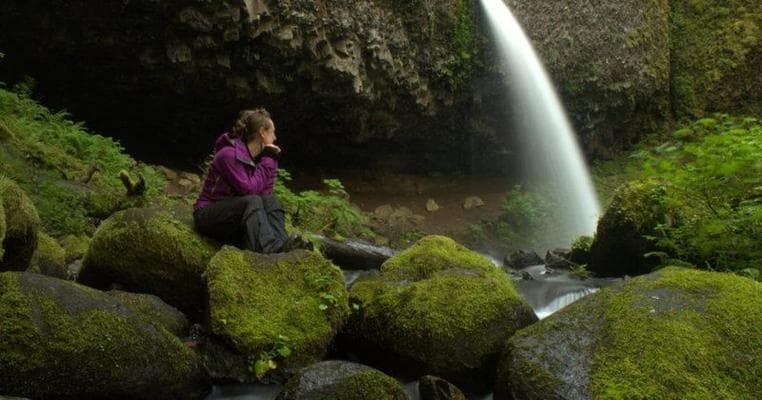 Toby Joy Zelt- Wild Pup Adventure, photo 1