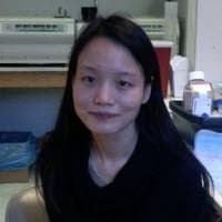 Qi Yang, photo 2