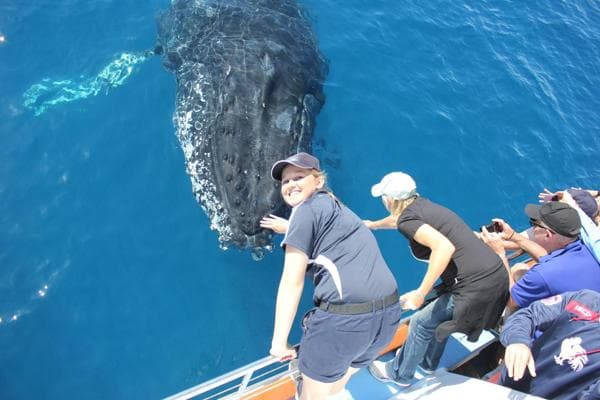 Hervey Bay Whale Watch, photo 1