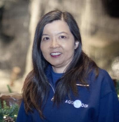 Cherilyn Chin, photo 1