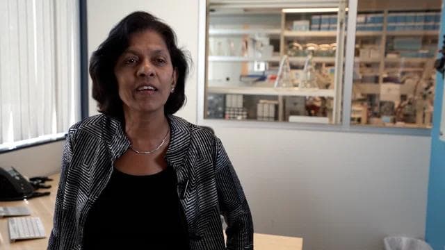 Yalia (Jaya) Jayalakshmi, Ph.D., photo 2