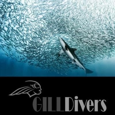 Gillmen Divers