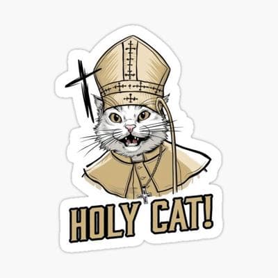 Cat Pope, photo 2