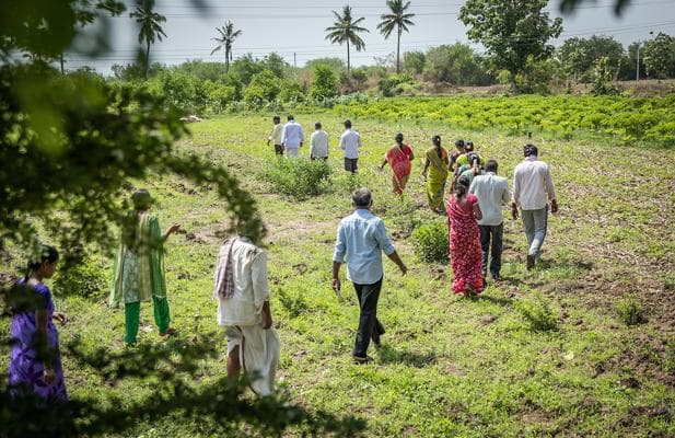 Cassia Mahjabeen, photo 1